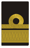 DG-ICG