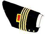 brigade chief sleeve