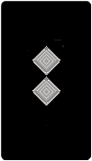 iceland-army-cwo2