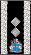 iceland-army-1st-lieutenant