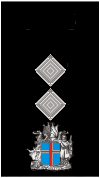 lieutenant colonel