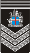 iceland-army-sergeant-major-of-the-army