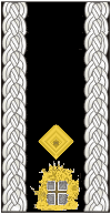 brigadier general