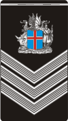 Warrant Officer