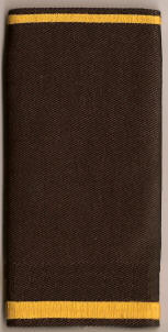 Logreglumadur / Police Officer