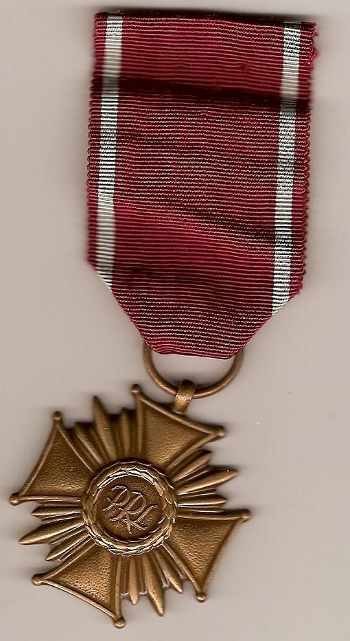 polish-medal0301-2009