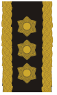 Chief Customs Officer